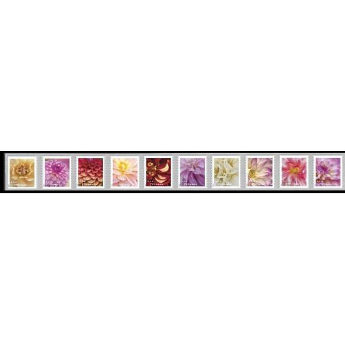 #5991a Dahlias, Coil Strip of Ten
